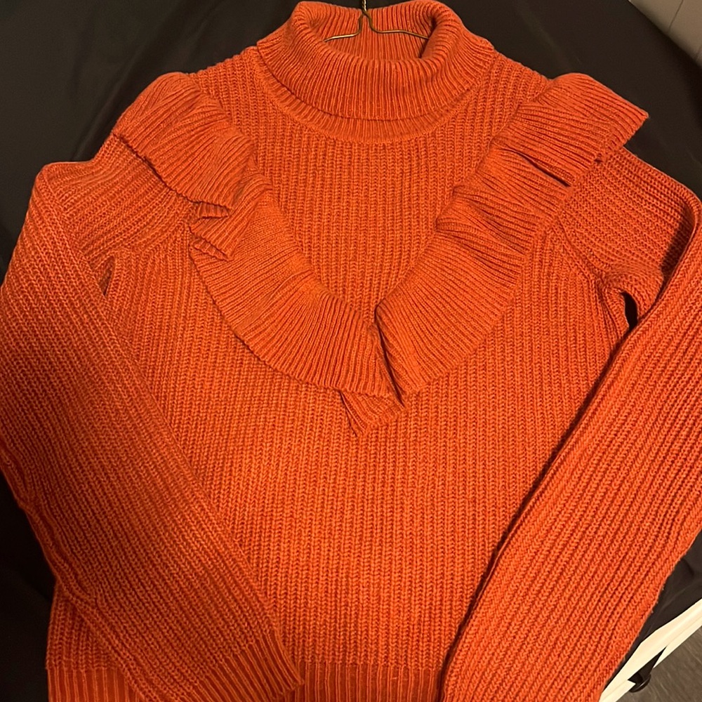 NWOT Rust Orange Turtleneck